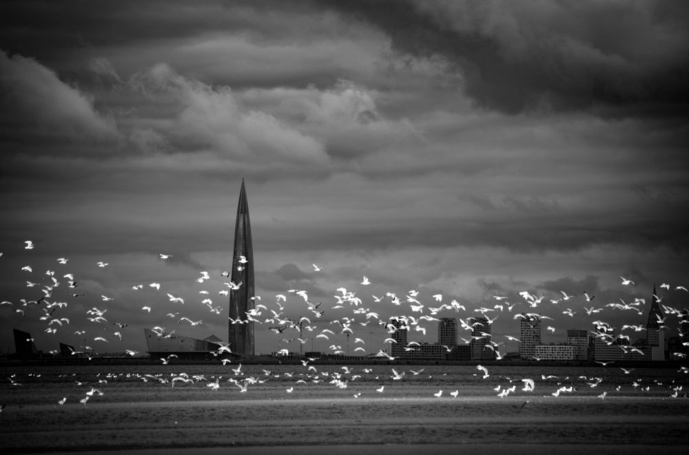 Photo #5615619