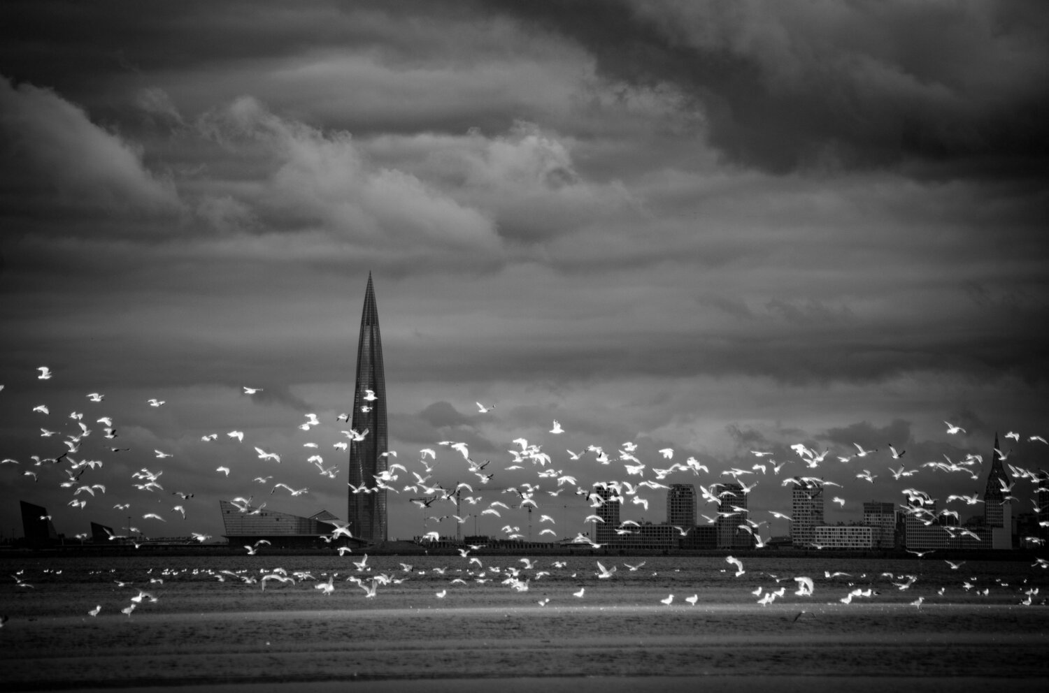 Photo #5615619