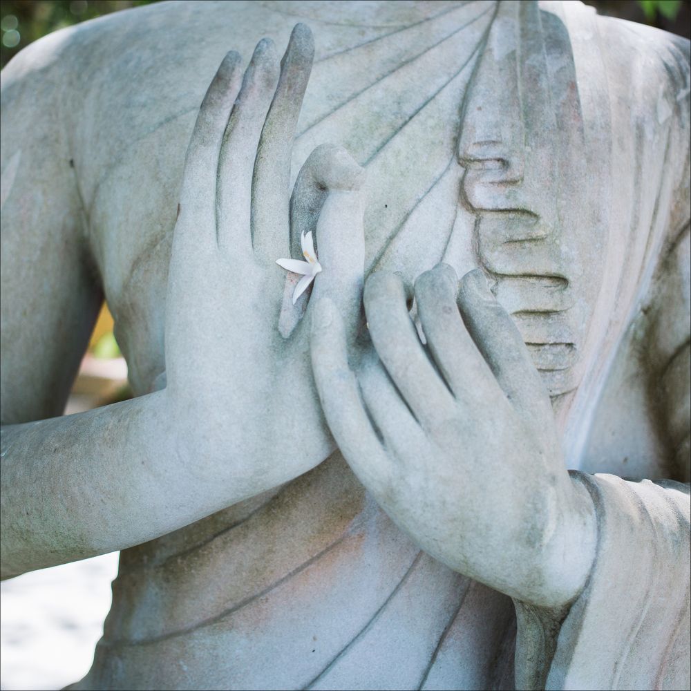 Photograph by Наталия Голованова