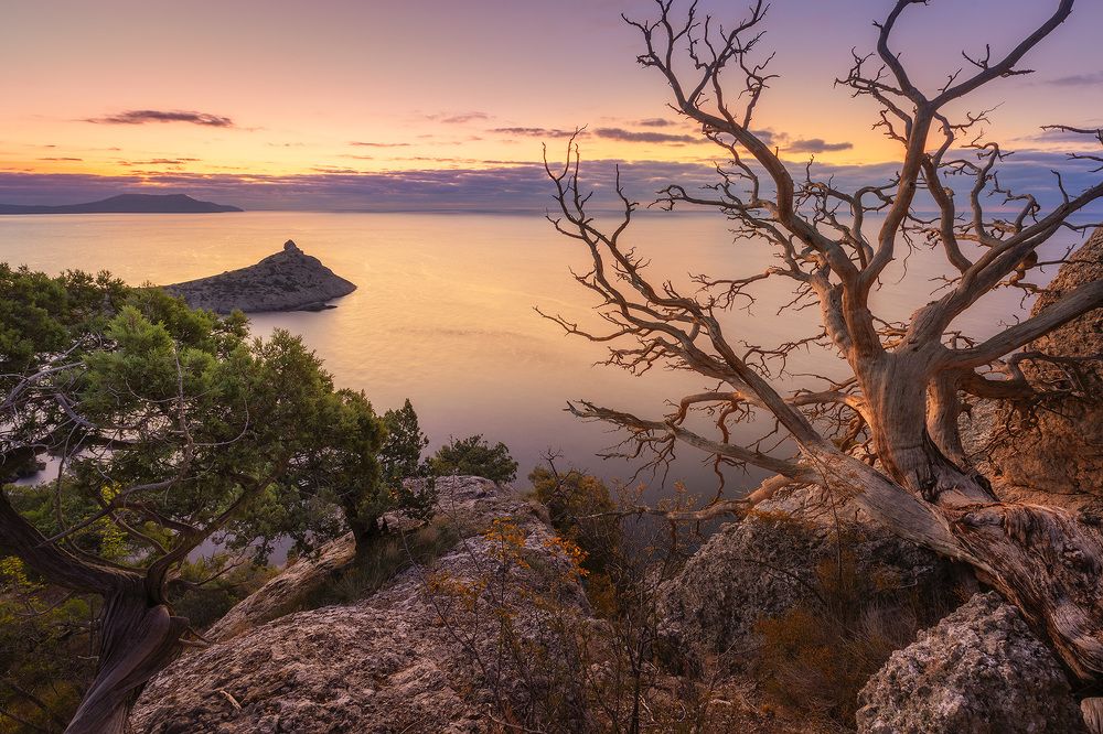 Photograph by Александр Костенко