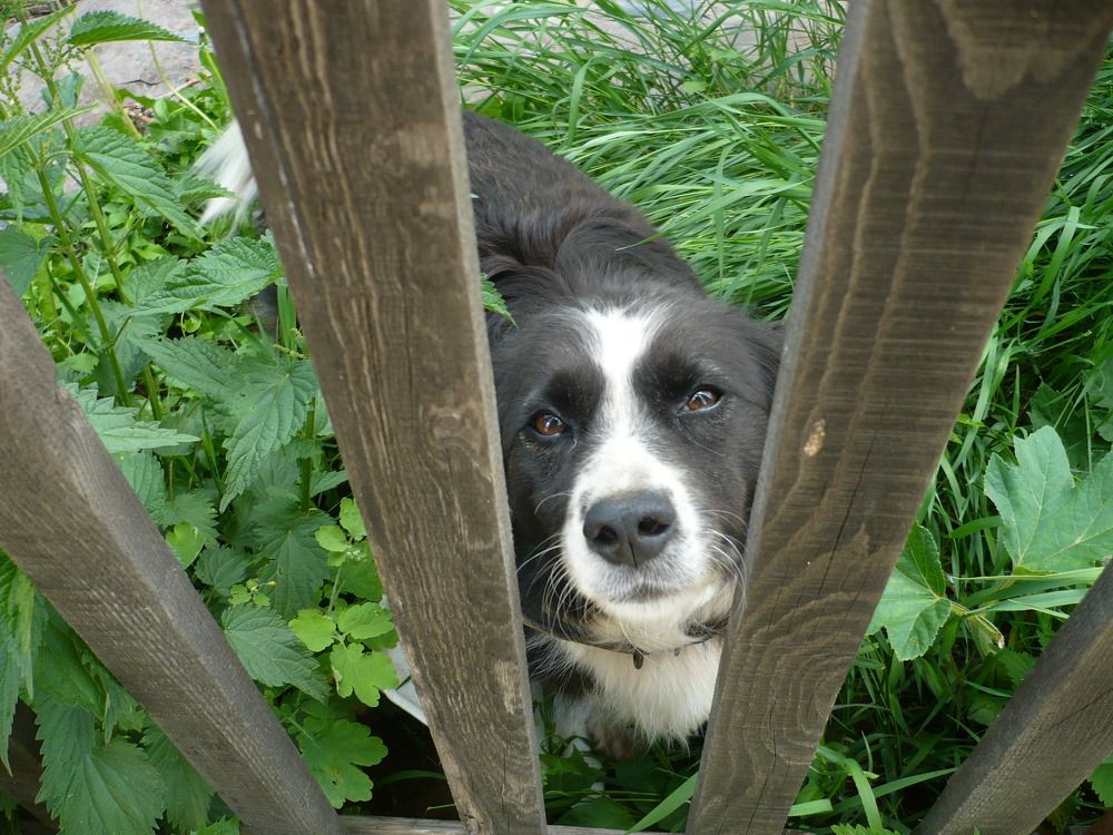 Фотография автора Клавдия Васильева