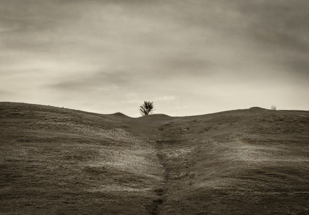 Photograph by Максим Митченко