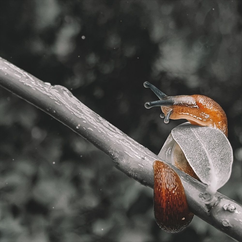 Photograph by Темур Талипов