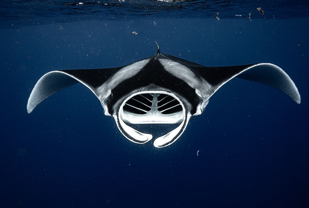 Photograph by Mizael Palomeque