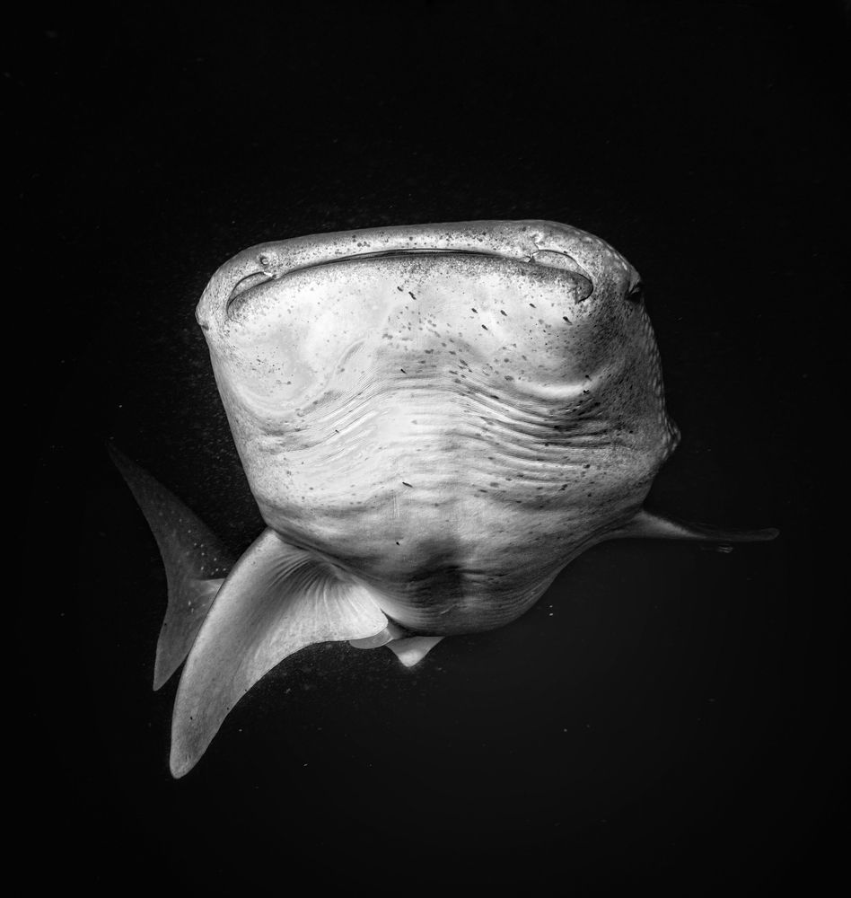 Photograph by Mizael Palomeque