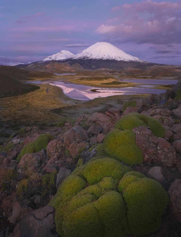 Photograph by Екатерина Сысоева