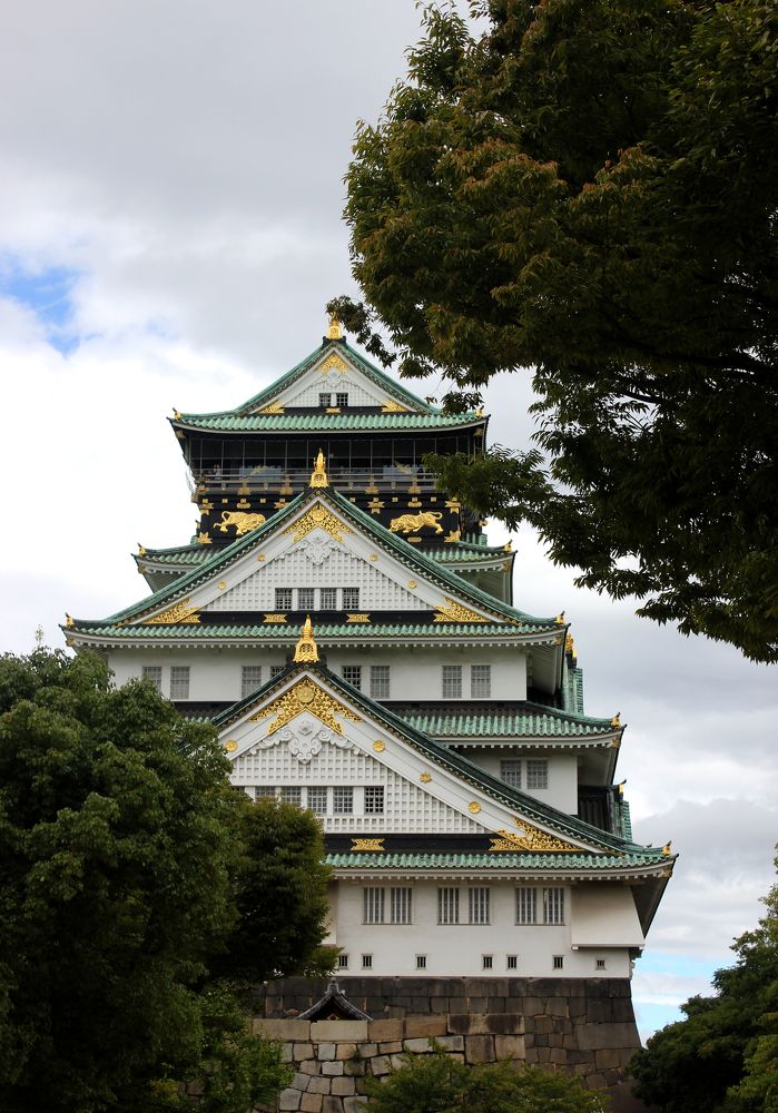 Фотография автора Виктория Гусар