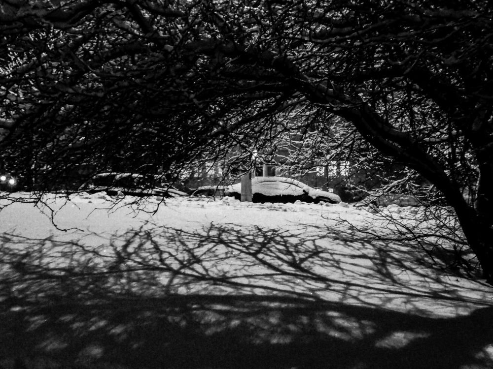 Photograph by Ольга Герасименко