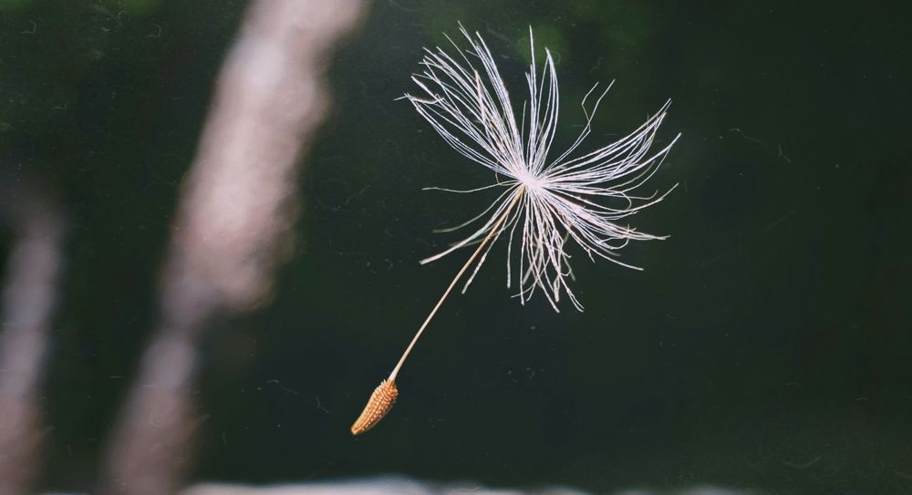 Photograph by Темур Талипов