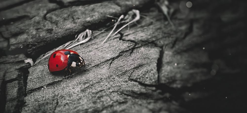 Photograph by Темур Талипов