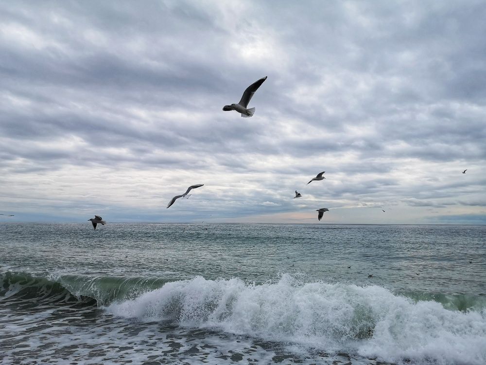 Photograph by Natali