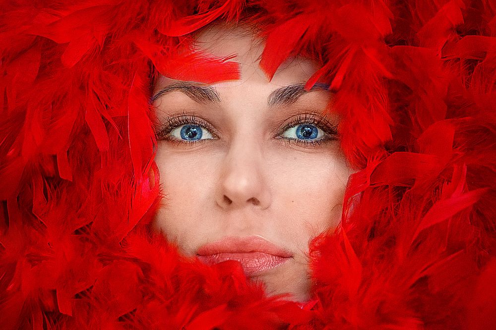 Фотография автора Елена Самофалова