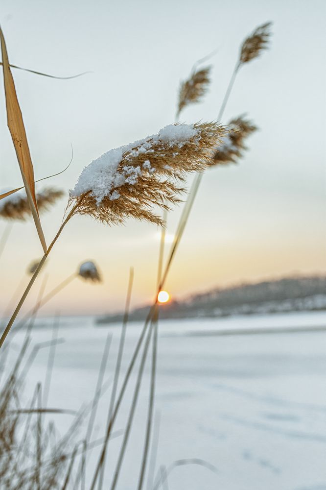 Photograph by Елена Власова