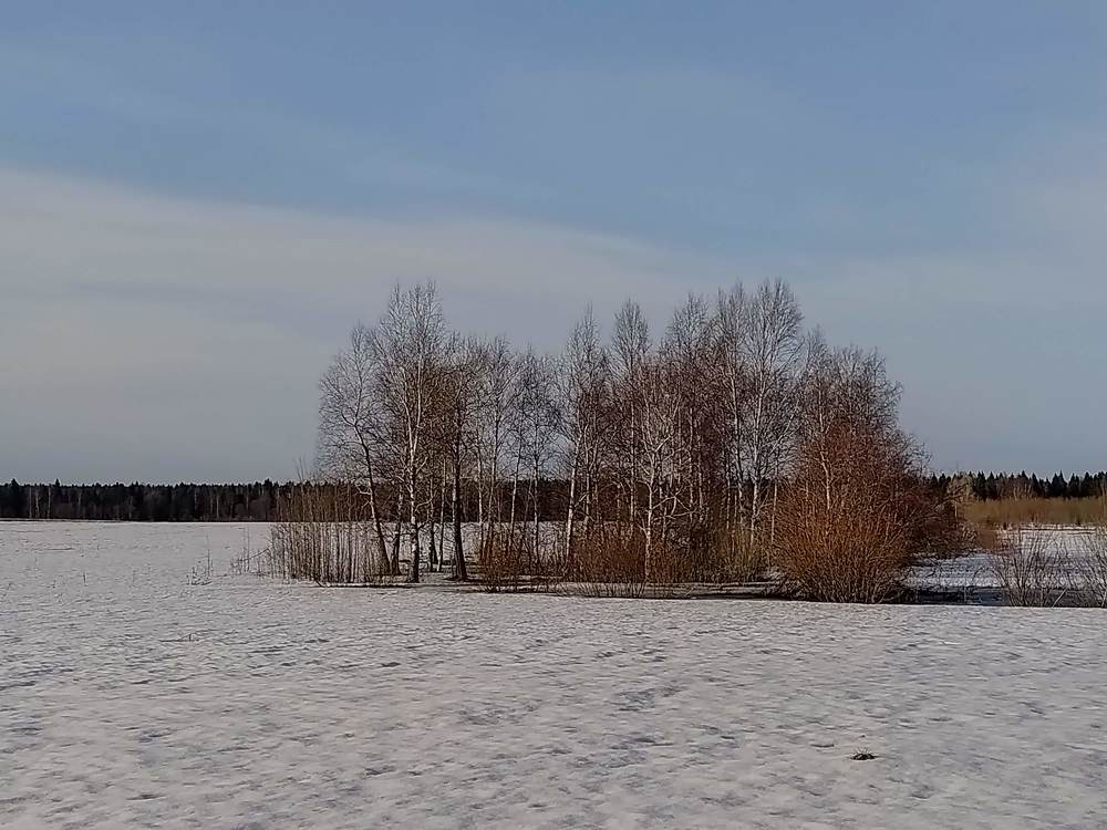 Photograph by София Корепанова