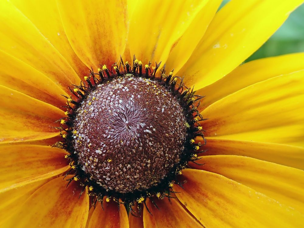 Photograph by Алексей Амилющенко