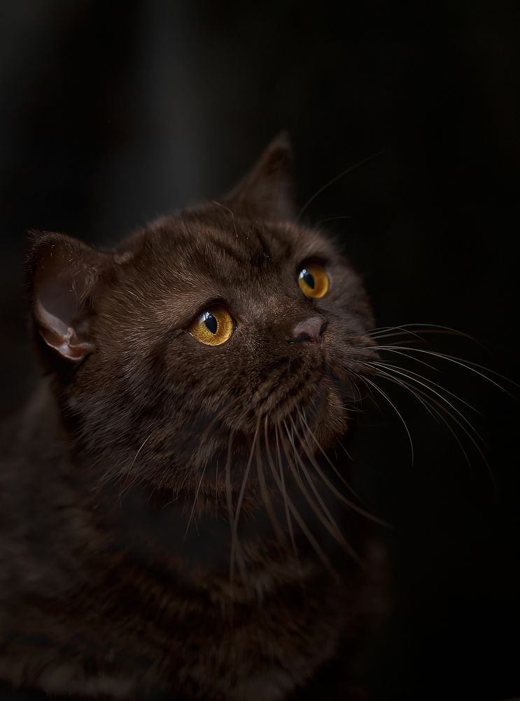 Photograph by Елена Власова