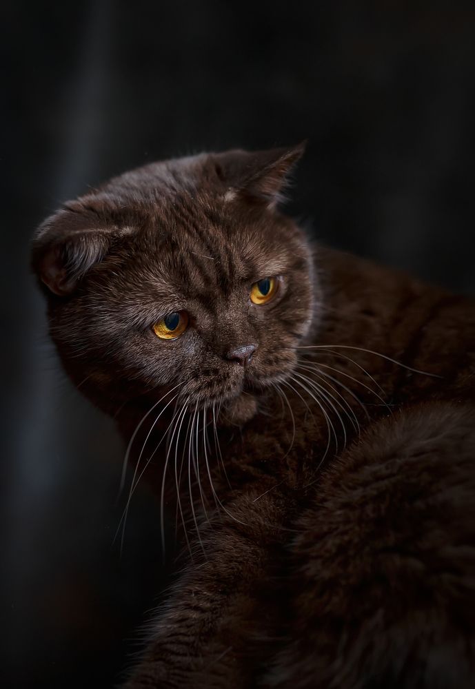 Photograph by Елена Власова