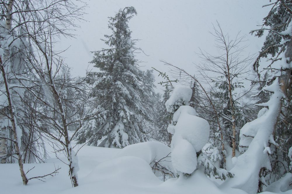 Photograph by Татьяна Боталова