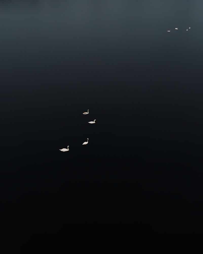 Photograph by Ярослав Титарчук