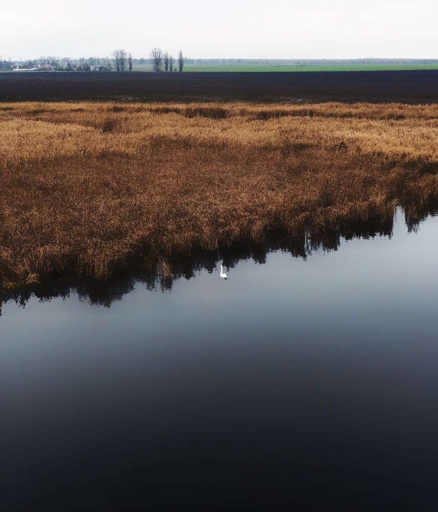 Photograph by Ярослав Титарчук