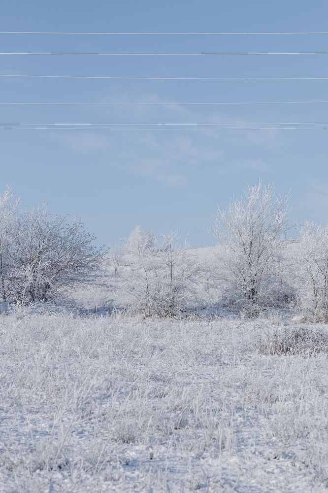 Photograph by Елена Власова