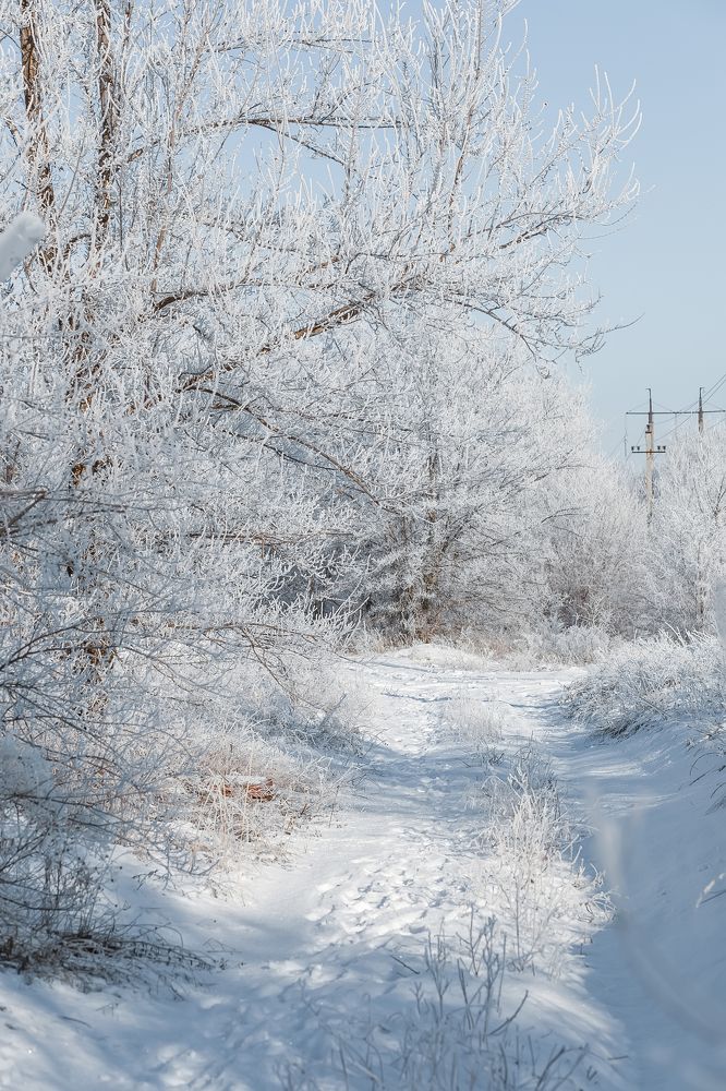 Photograph by Елена Власова