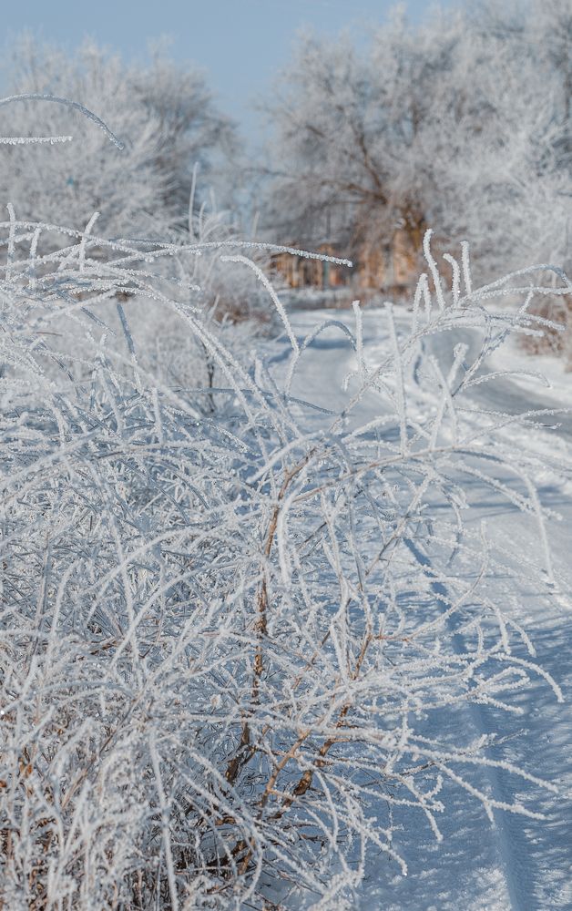 Photograph by Елена Власова