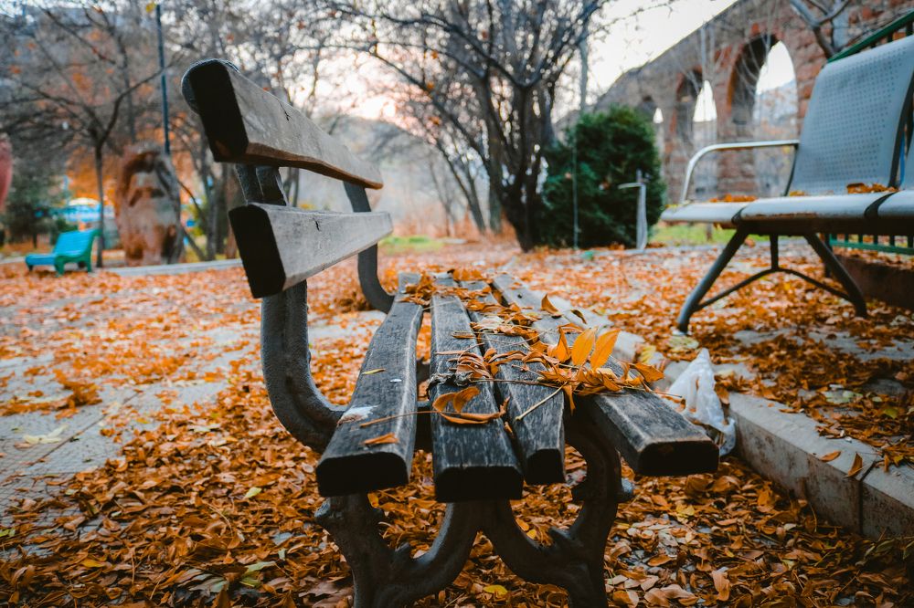 Photograph by Tigran Shishmanyan