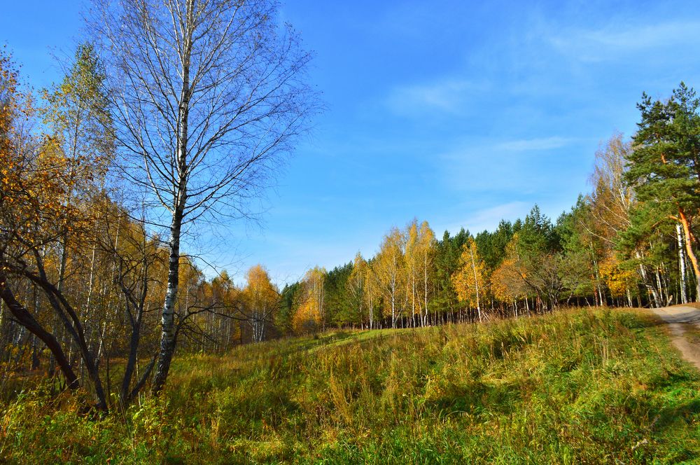 В экопарке Дубрава.
