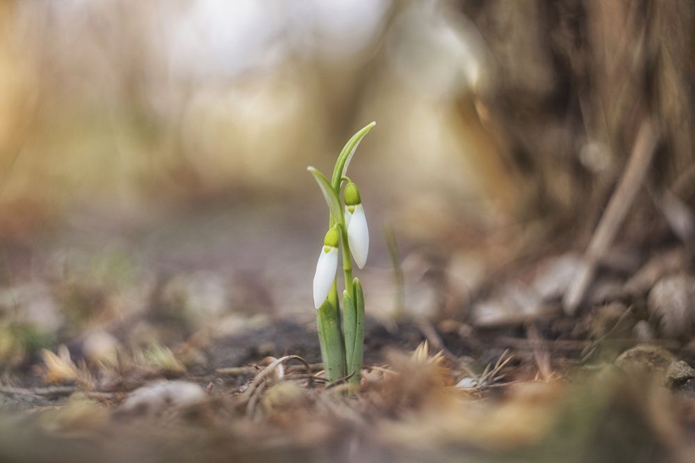 Photograph by Марина Гнедаш