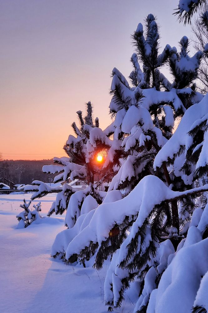 Photograph by Алла Собянина