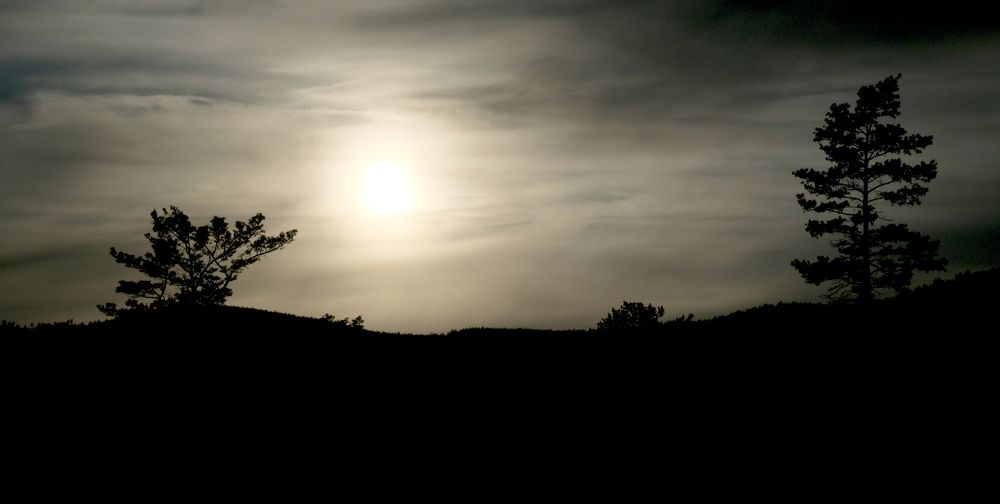 Photograph by Дмитрий