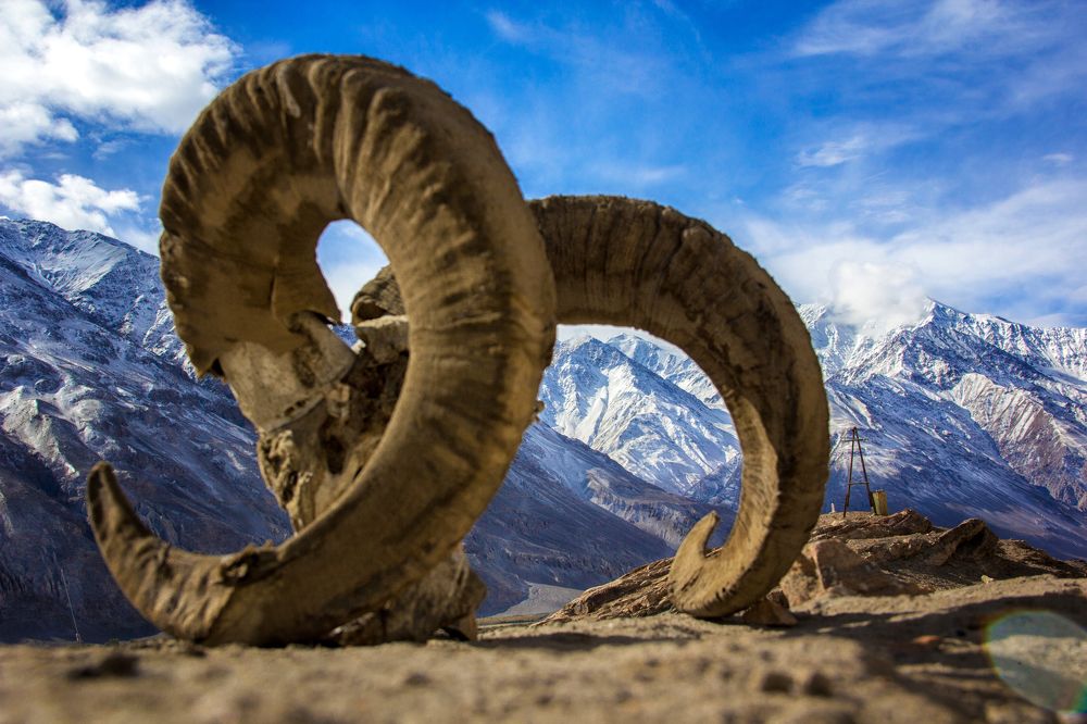 Photograph by Ксения Попова