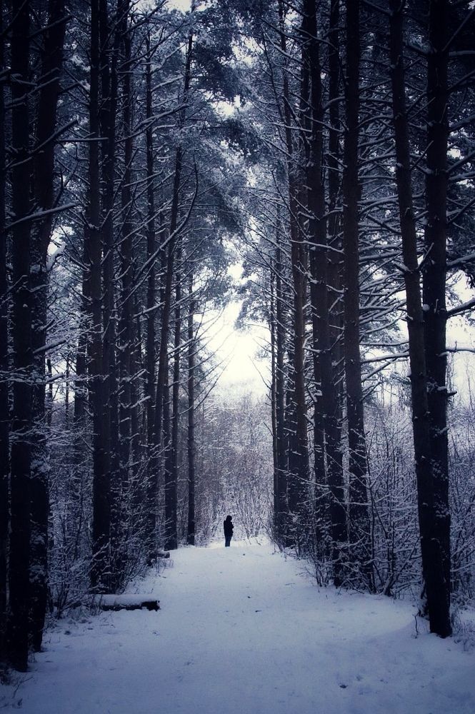 Photograph by Olga Asson