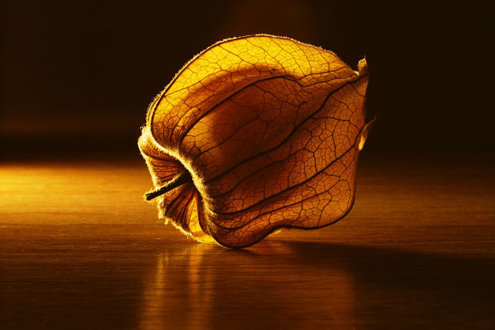 Photograph by Patryk Wenta