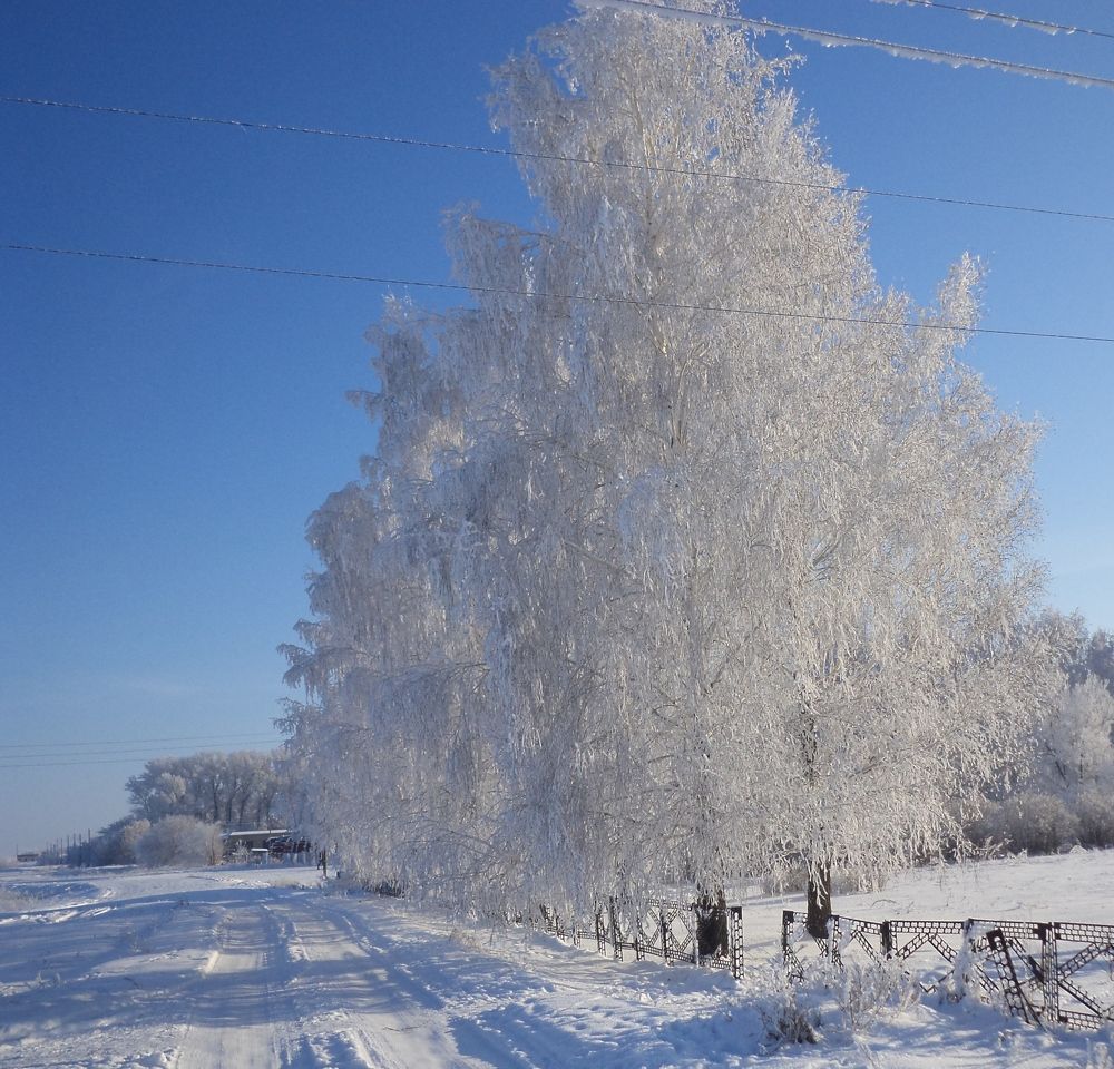 Photograph by Оксана Сабылина