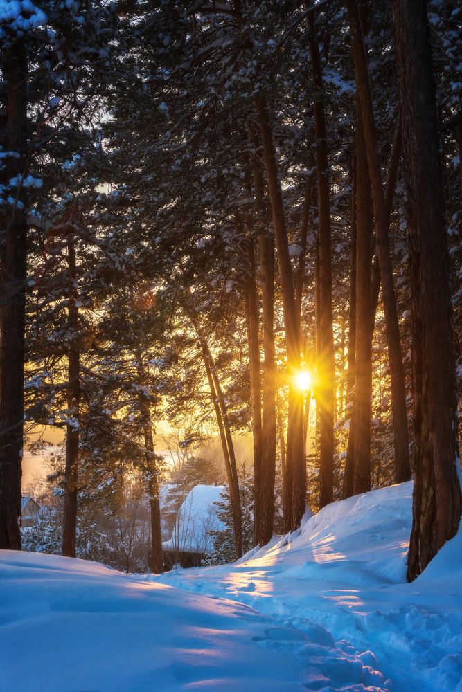 Фотография автора Владимир Зубков