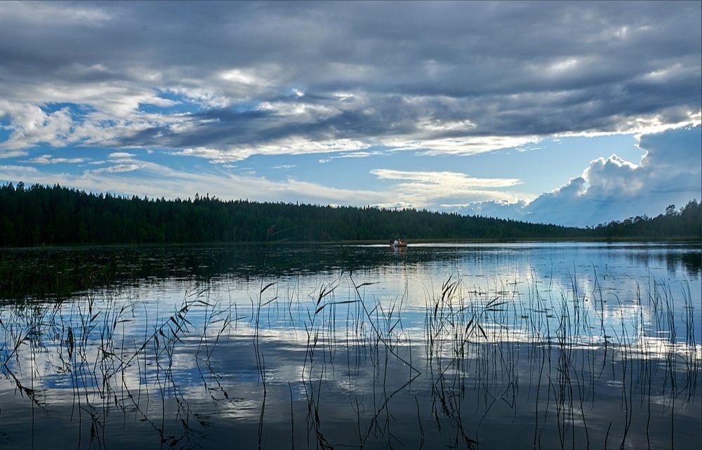 Photograph by Александр Антонов