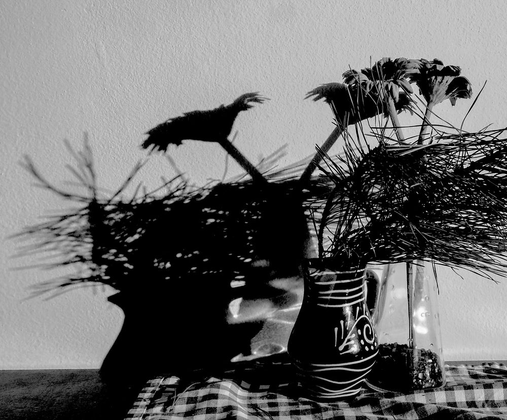 Photograph by Lilit Ghazareh