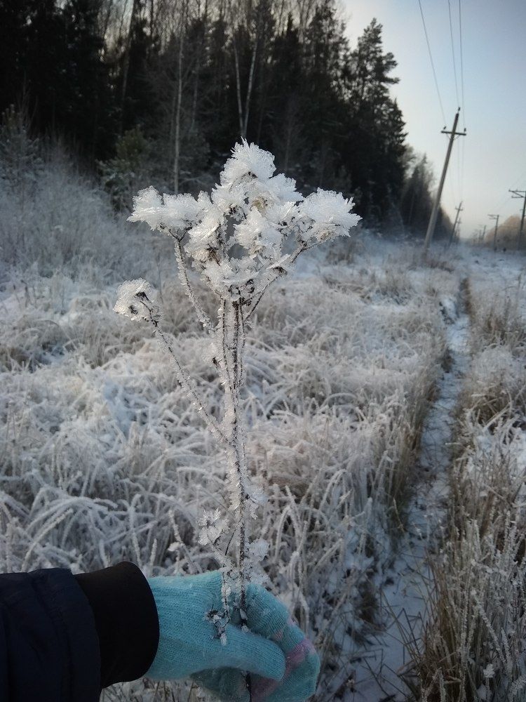 Photo #5616616