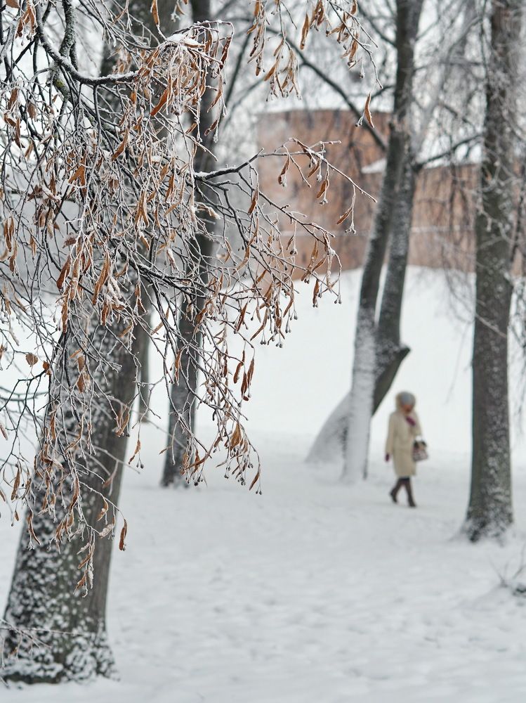 Photograph by Надежда Васильева