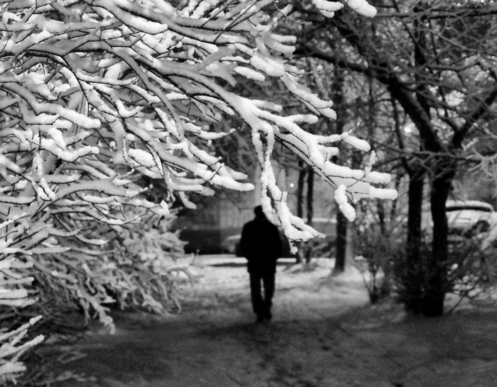 Photograph by Надежда Васильева