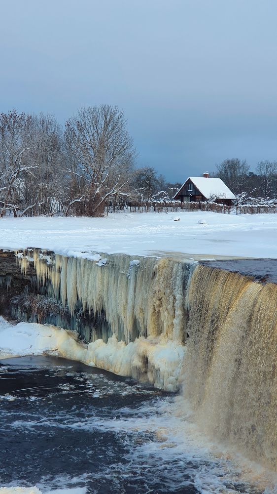 Photograph by Liana Lauta