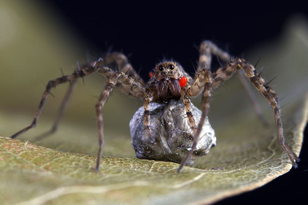 Photograph by Yakup Temel