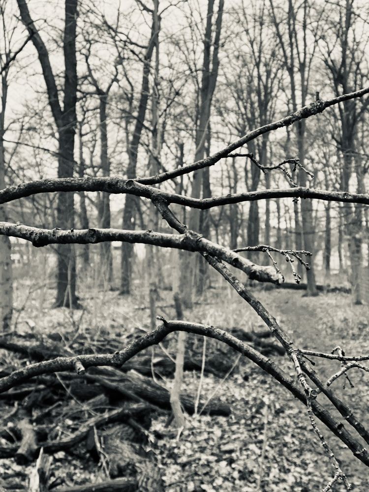 Фотография автора Vera Dobychina