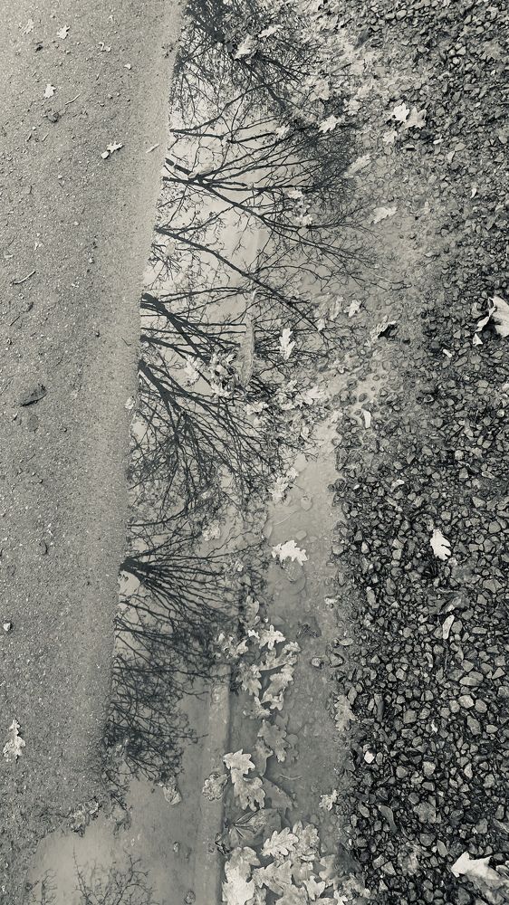 Фотография автора Vera Dobychina