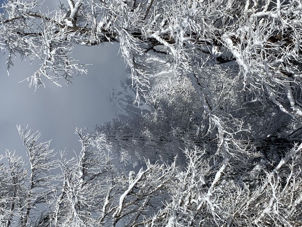 Фотография автора Guzel Kolobova