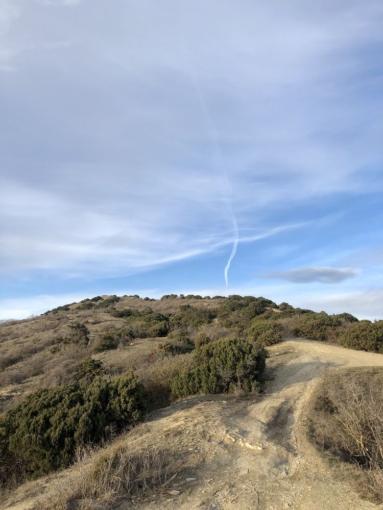 Photograph by Анастасия Казанцева