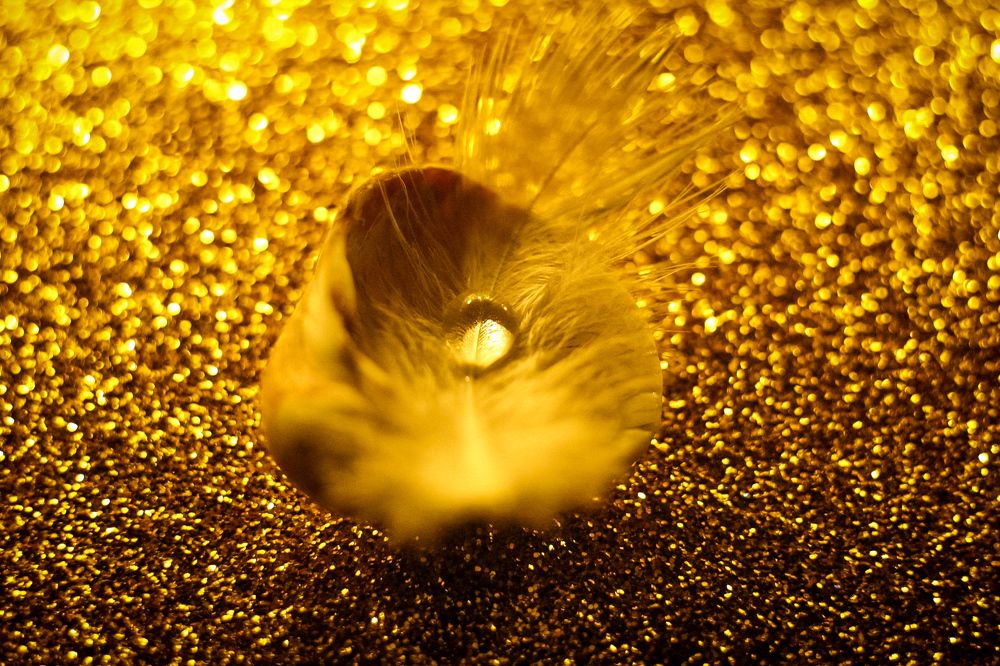 Photograph by Екатерина Шилина