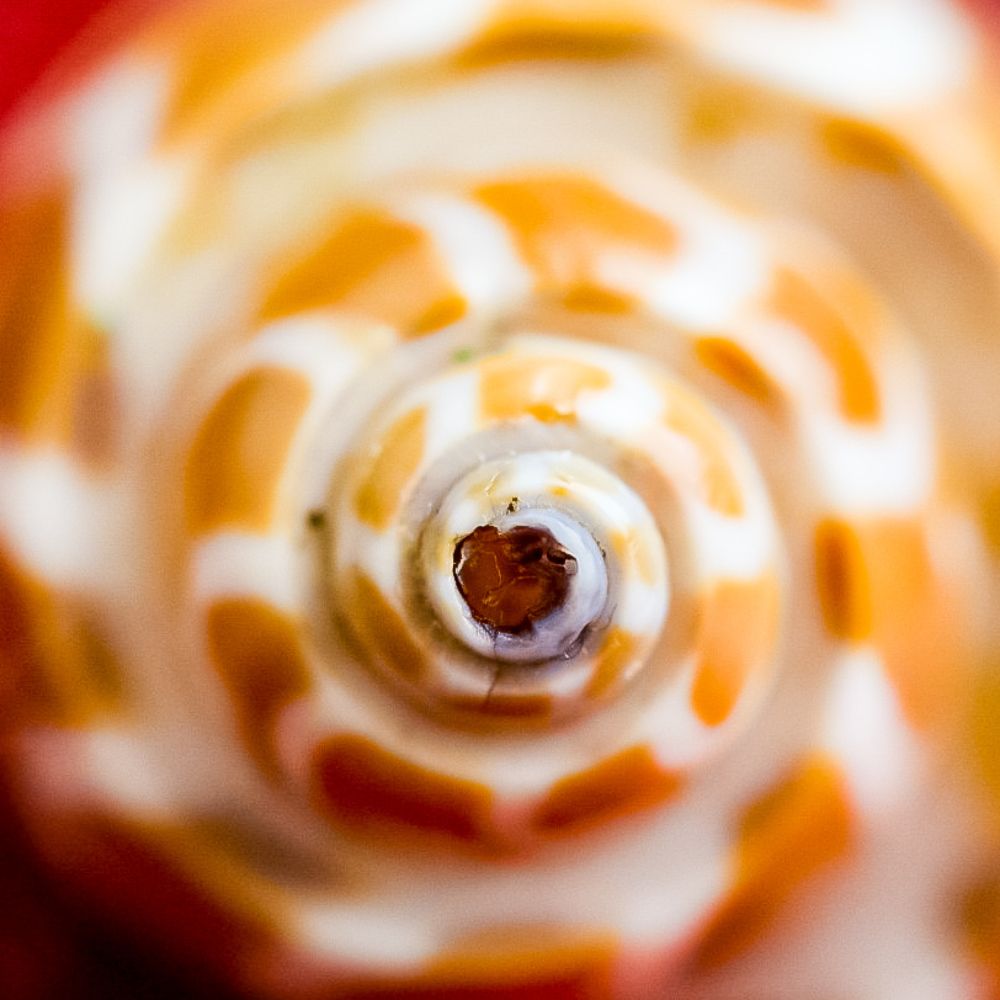 Photograph by Екатерина Шилина